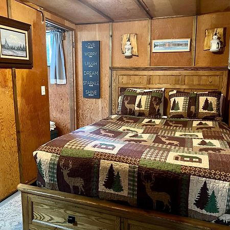 Mt Rainier Little Green Cabin On Big Creek! Ashford Eksteriør billede