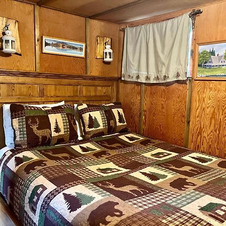 Mt Rainier Little Green Cabin On Big Creek! Ashford Eksteriør billede