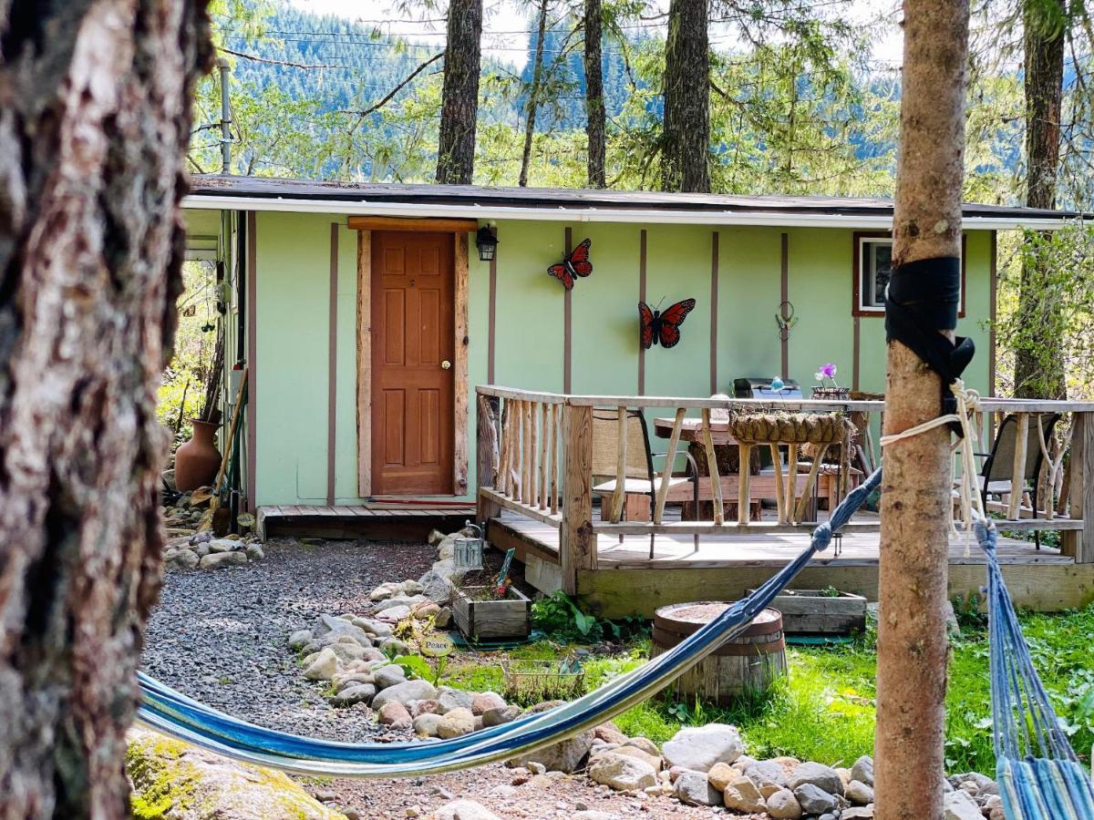 Mt Rainier Little Green Cabin On Big Creek! Ashford Eksteriør billede