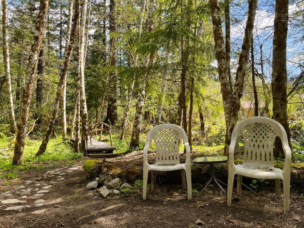 Mt Rainier Little Green Cabin On Big Creek! Ashford Eksteriør billede