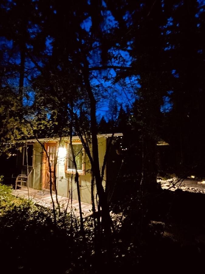 Mt Rainier Little Green Cabin On Big Creek! Ashford Eksteriør billede