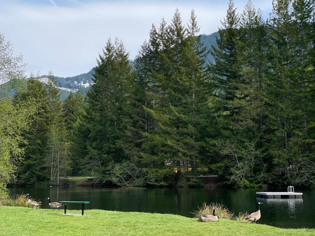 Mt Rainier Little Green Cabin On Big Creek! Ashford Eksteriør billede