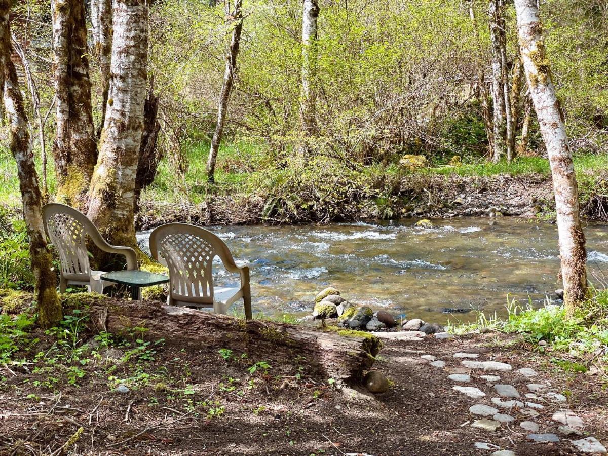 Mt Rainier Little Green Cabin On Big Creek! Ashford Eksteriør billede