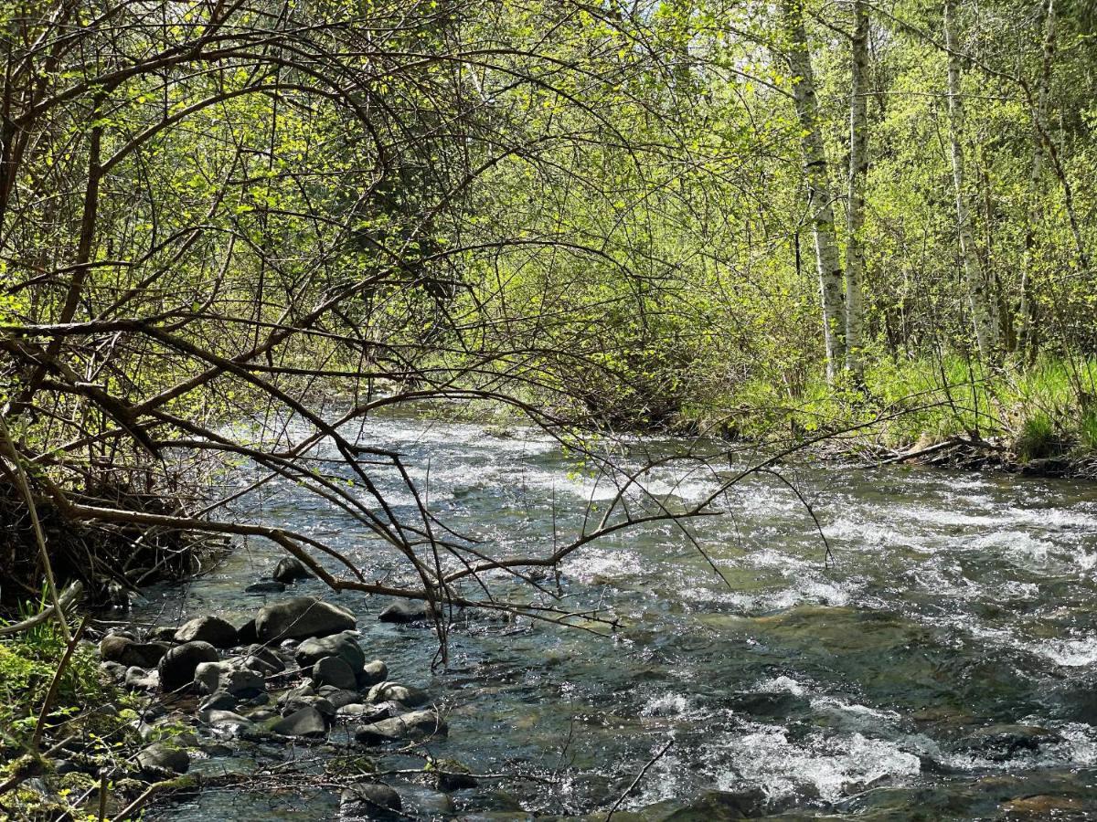 Mt Rainier Little Green Cabin On Big Creek! Ashford Eksteriør billede
