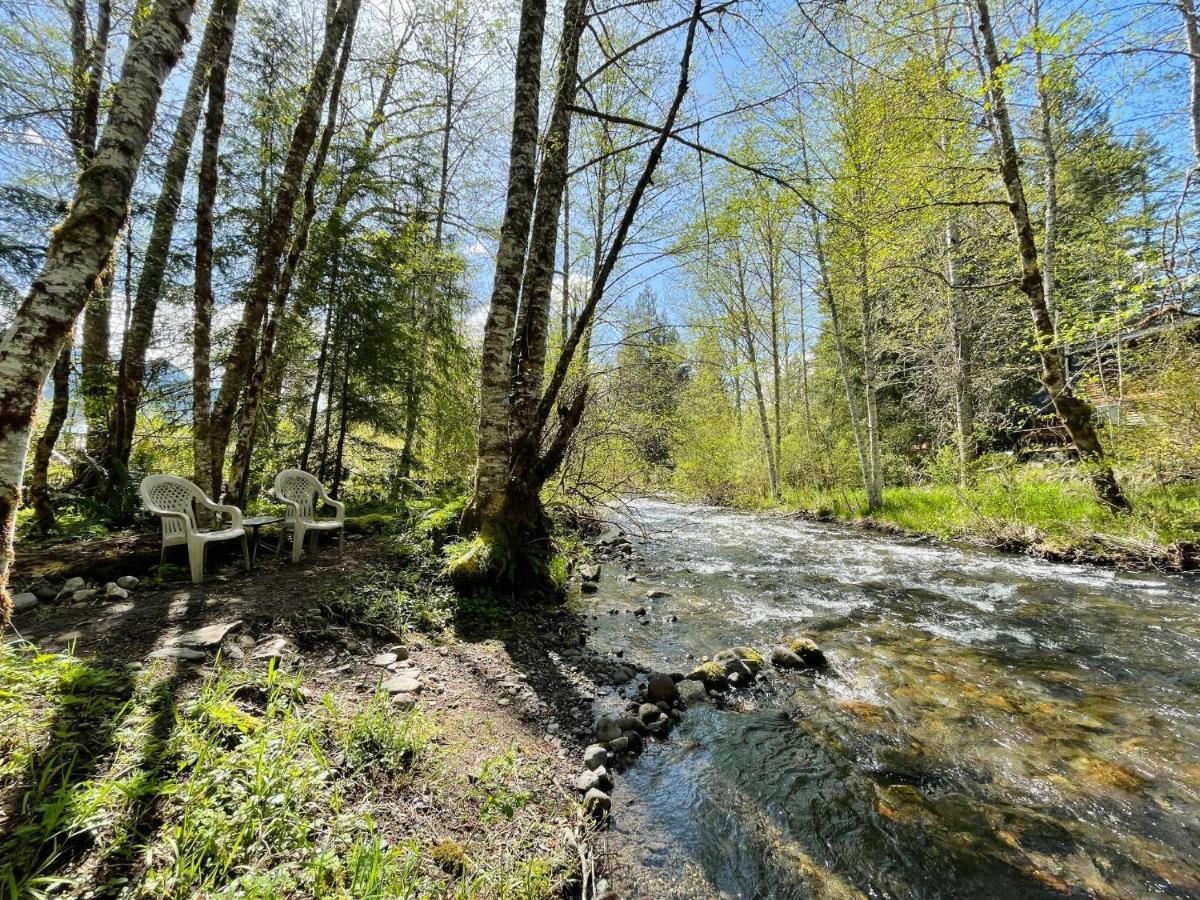 Mt Rainier Little Green Cabin On Big Creek! Ashford Eksteriør billede