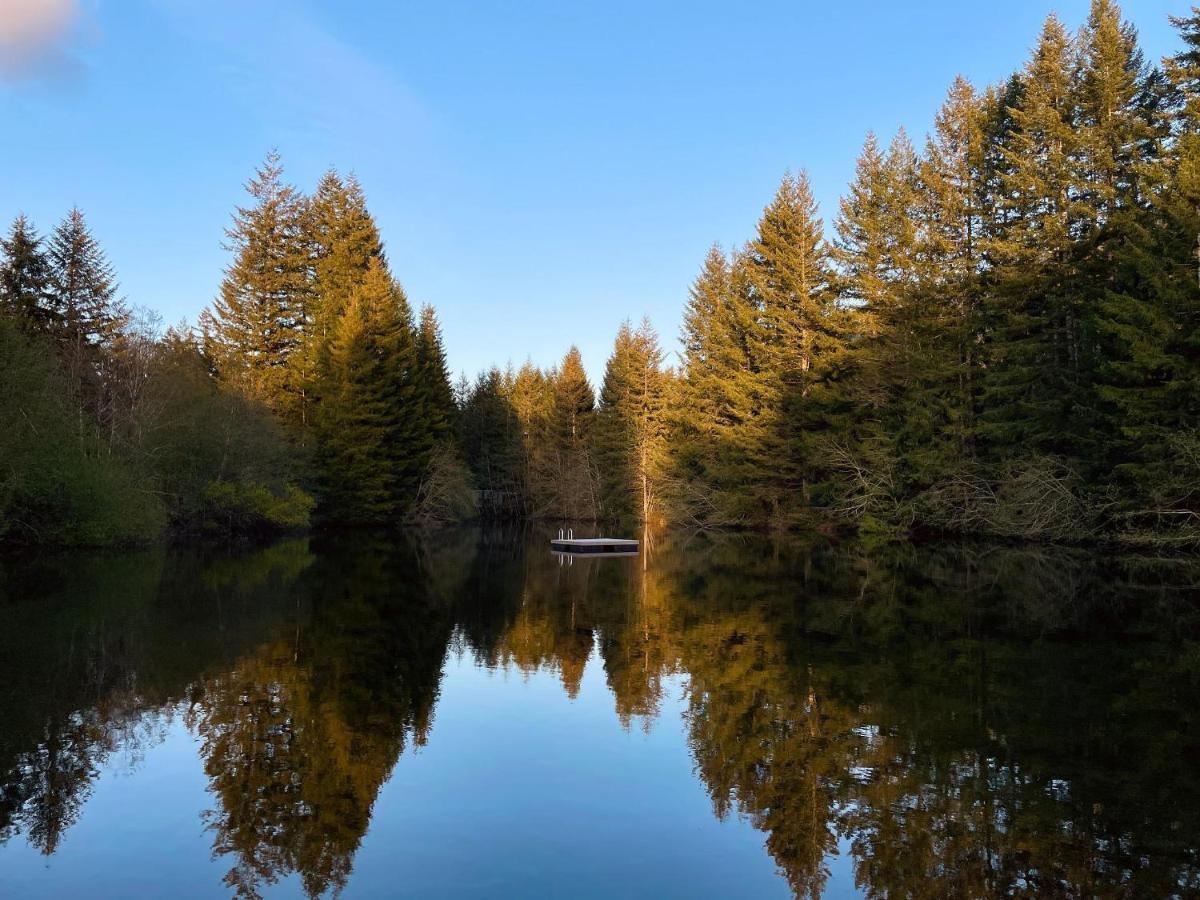 Mt Rainier Little Green Cabin On Big Creek! Ashford Eksteriør billede