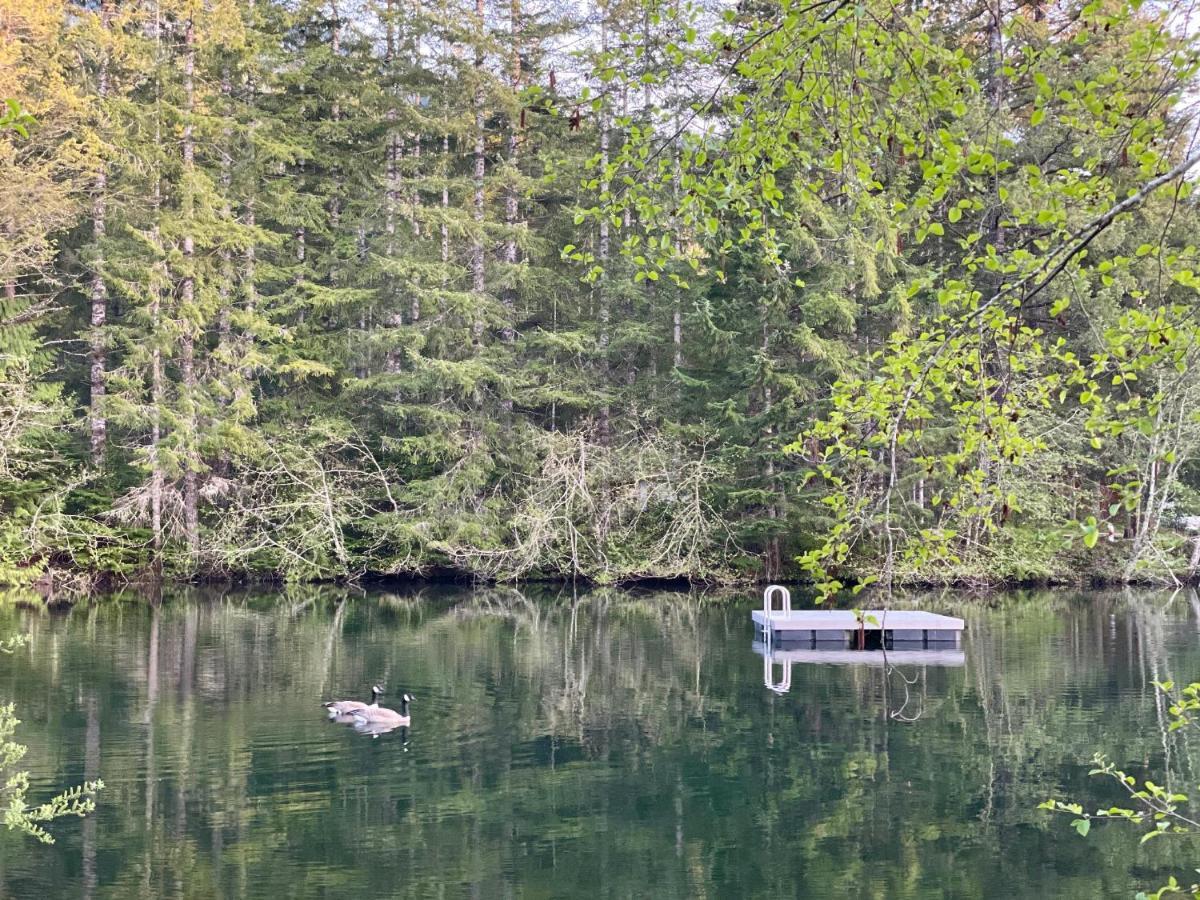 Mt Rainier Little Green Cabin On Big Creek! Ashford Eksteriør billede