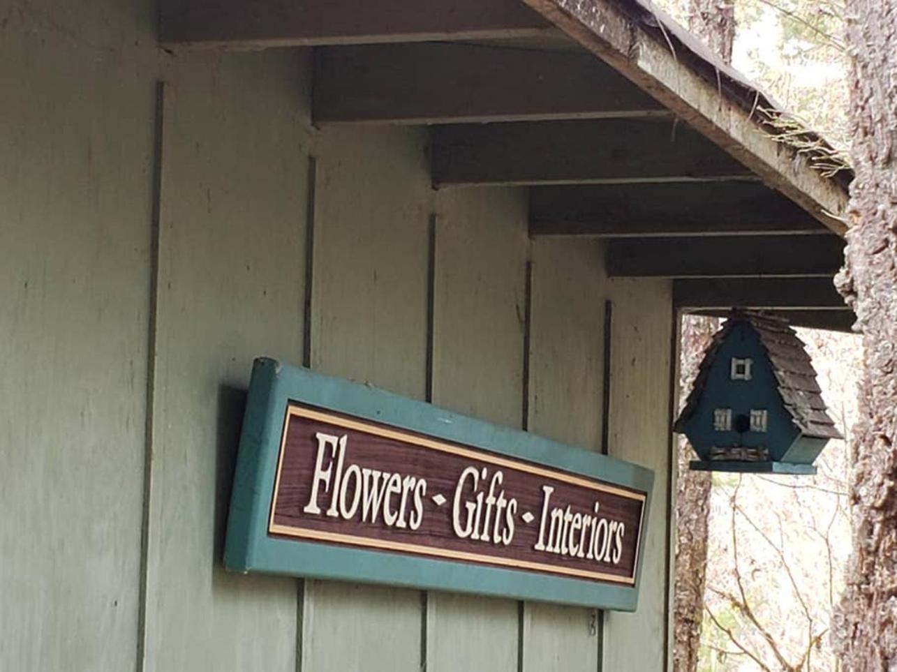 Mt Rainier Little Green Cabin On Big Creek! Ashford Eksteriør billede