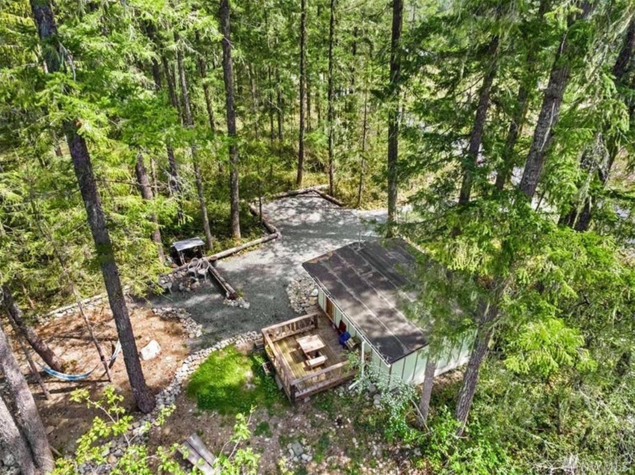 Mt Rainier Little Green Cabin On Big Creek! Ashford Eksteriør billede